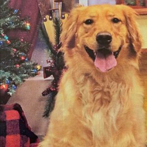 Meet your Posher, Lesley